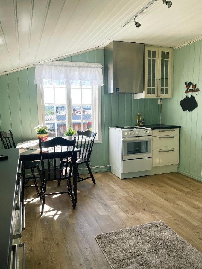 Finnegarden Røros Kültér fotó